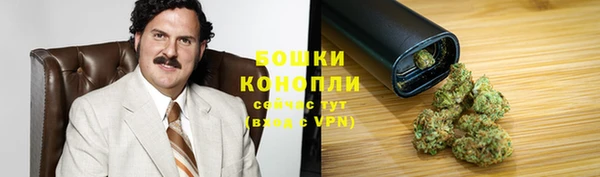 a pvp Белокуриха