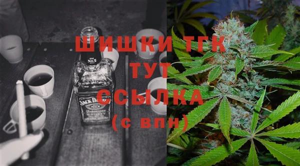 a pvp Белокуриха