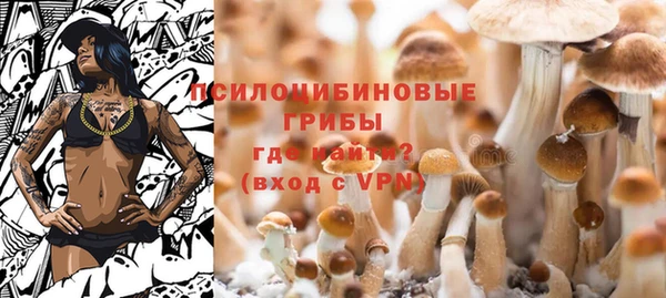 бошки Богородск