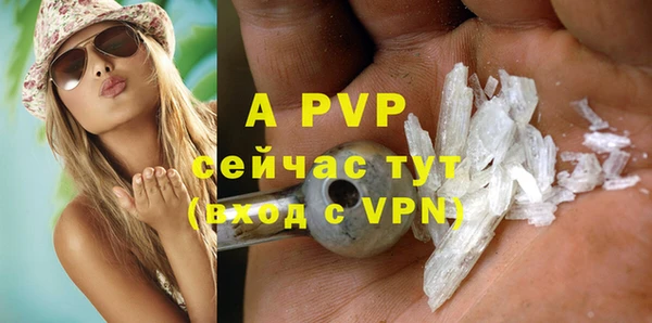 спиды Богданович