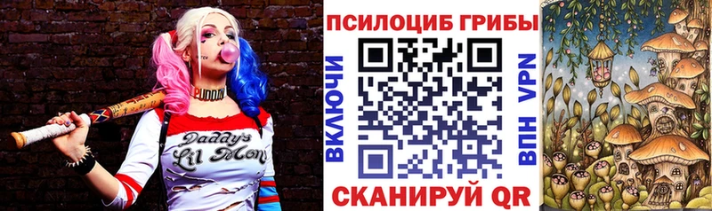 Галлюциногенные грибы Psilocybe наркотики Реутов